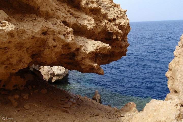 Avventura guidata di mezza giornata al Ras Mohamed in autobus - Sharm El Sheikh