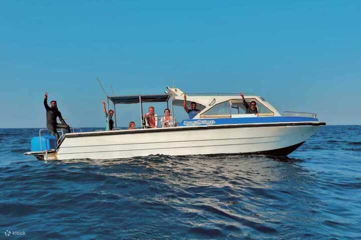 find-dugong-sea-cow-marsaalam