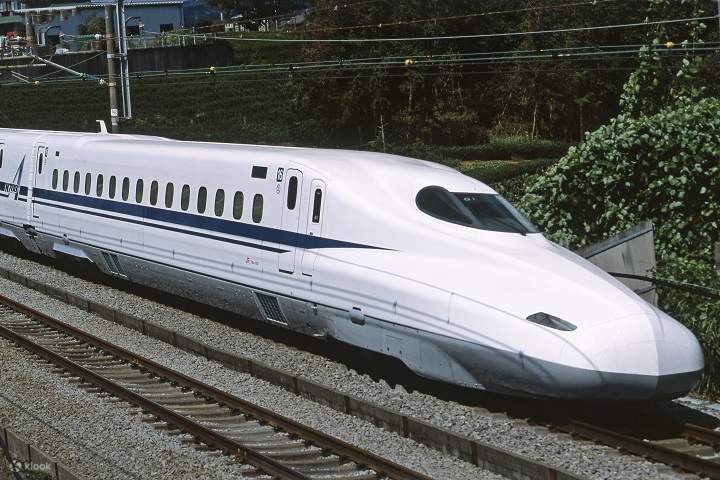 Shinkansen Racing Nagoya Grand Sumo Tournament Viewing Tour with Tickets - Klook
