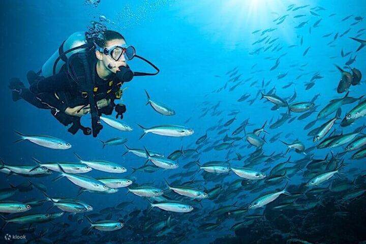 Open-Water-Kurs-Fertigkeiten-in-Marsa-Alam