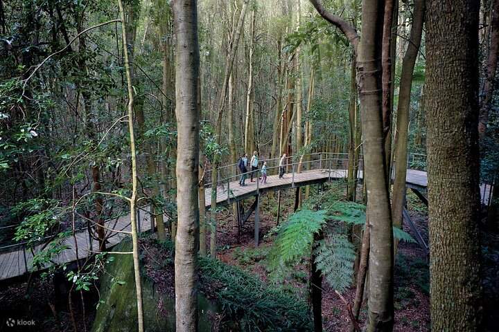 Scenic World, Montañas Azules