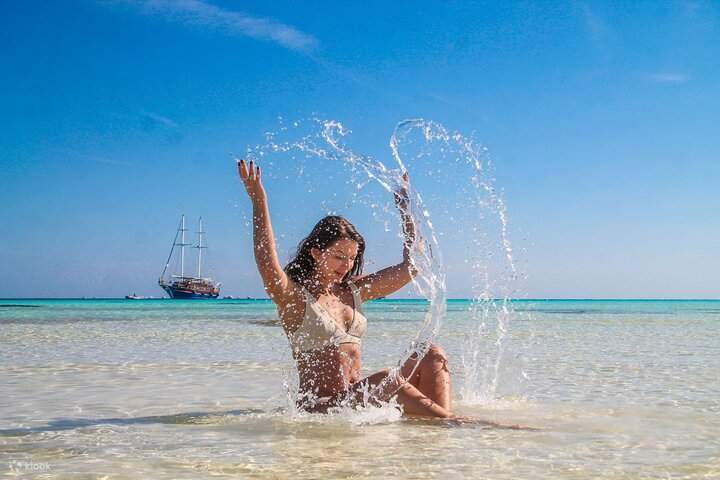 Ras Mohamed Half-Day Guided Adventure by bus - Sharm El Sheikh