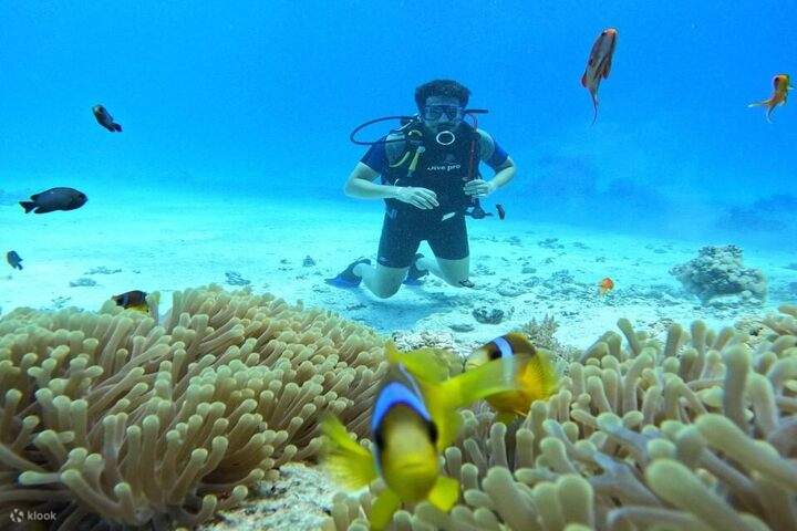 คุณยังจะได้เพลิดเพลินกับการชมปลาหลากสีสันอีกด้วย