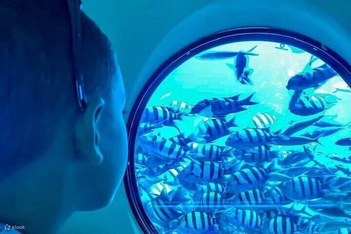 Panorama Semi-Submarine Snorkeling Sea Trip dengan Transfer – Hurghada