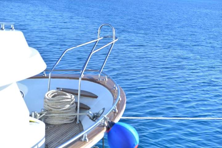 Chuyến Đi Biển Lặn Ngắm Cá Heo Thú Vị & Đưa Đón – Marsa Alam