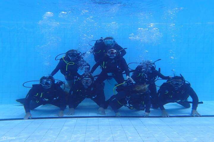 ดำน้ำ - มาร์ซา อาลัม