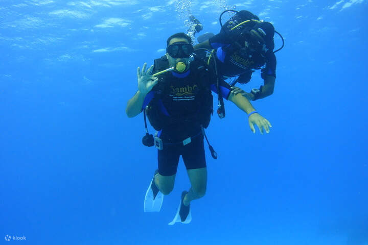 Enjoy a unique diving tour in Marsa Mubarak, one of the most beautiful diving sites in Marsa Alam.