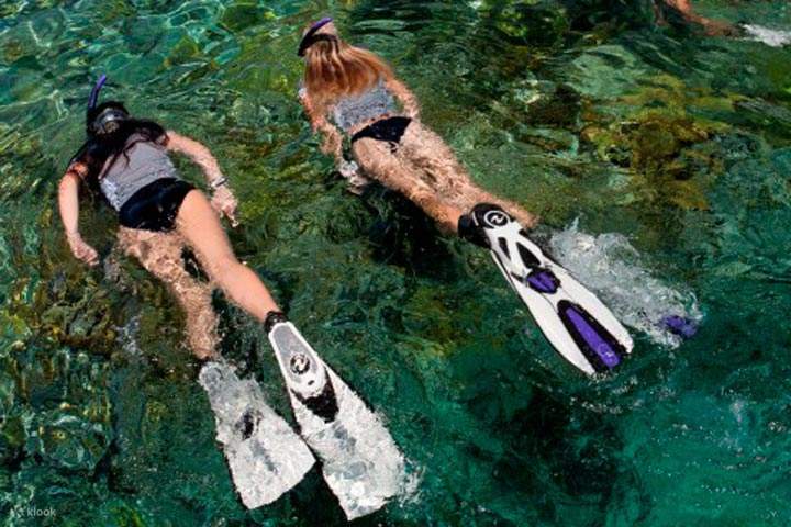 Cattura l'essenza del paradiso marino di Tulamben con un'escursione di snorkeling, nuotando accanto a banchi di pesci ed esplorando anfratti nascosti.