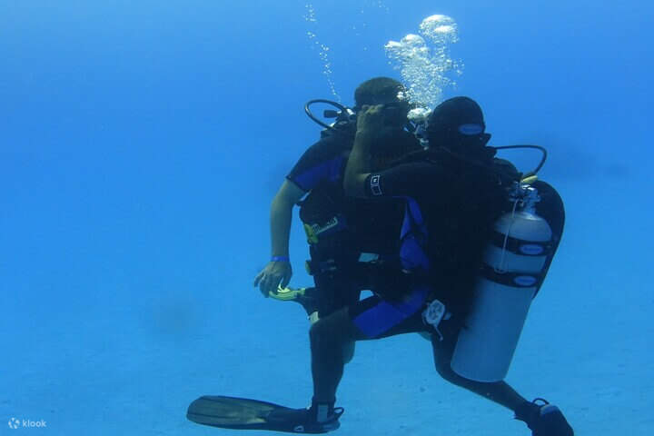Profitez d'une merveilleuse excursion de plongée à Marsa Mubarak et explorez les profondeurs de la mer Rouge.
