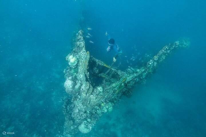 Explorez l'épave Skeleton, une épave peu profonde de la Seconde Guerre mondiale partiellement recouverte de coraux. C'est un site de plongée en apnée facile et sûr où vous pouvez nager juste au-dessus du navire et apercevoir des poissons de récif qui l'ha