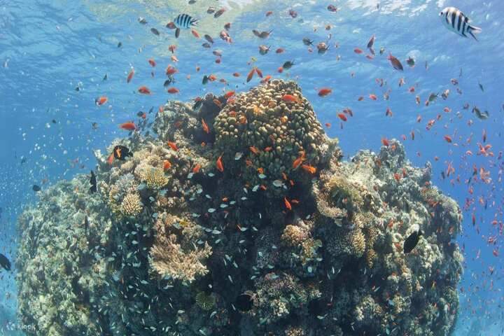 marsa-waves-tours-egypt