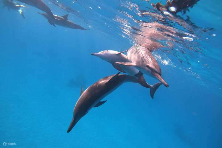 L'isola è caratterizzata da acque cristalline e incantevoli barriere coralline.