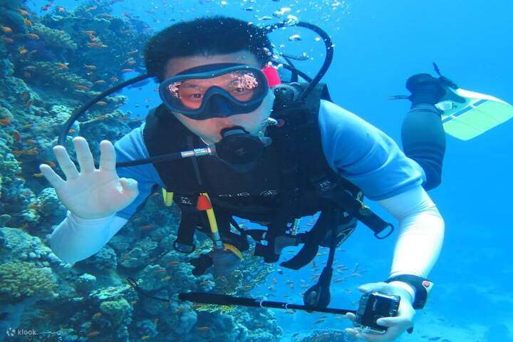 Nikmati pengalaman menyelam pertama anda dan dapatkan keyakinan untuk menerokai kedalaman Laut Merah.