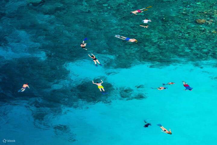 snorkeling-marsa-alam-barriera-corallina