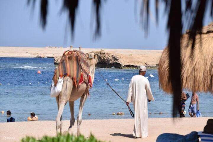 sharm-elnaga-beach-hotel