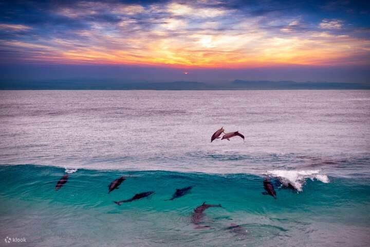 sataya-dolphin-house-marsa-alam