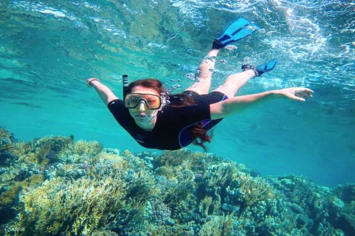 Marsa Mubarak珊瑚礁