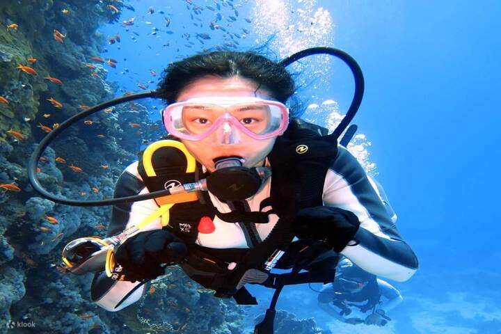 ดำน้ำลึก-Marsaalam