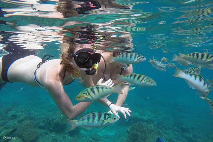 Vivi la magia del mondo sottomarino di Tulamben con un'escursione di snorkeling, dove ogni momento svela un nuovo spettacolo di meraviglie marine