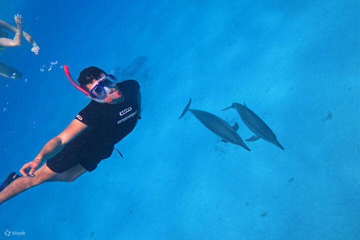 เอล-กูเซียร์- สัตยา ดอลฟิน เฮาส์