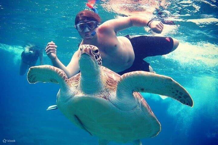 Экскурсия_на_пляж_Абу-Даббаб