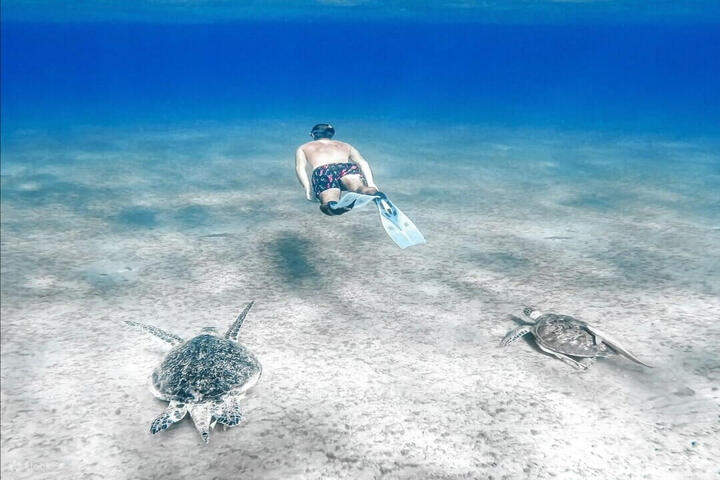 abu-dabbab-beach-beach-trip-marsaalam