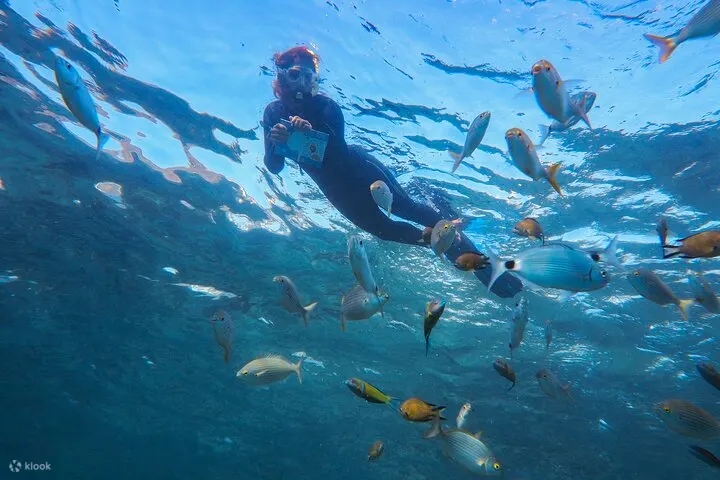 带导游的浮潜体验
