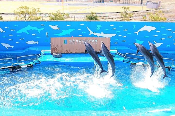 仙台海之森水族馆门票