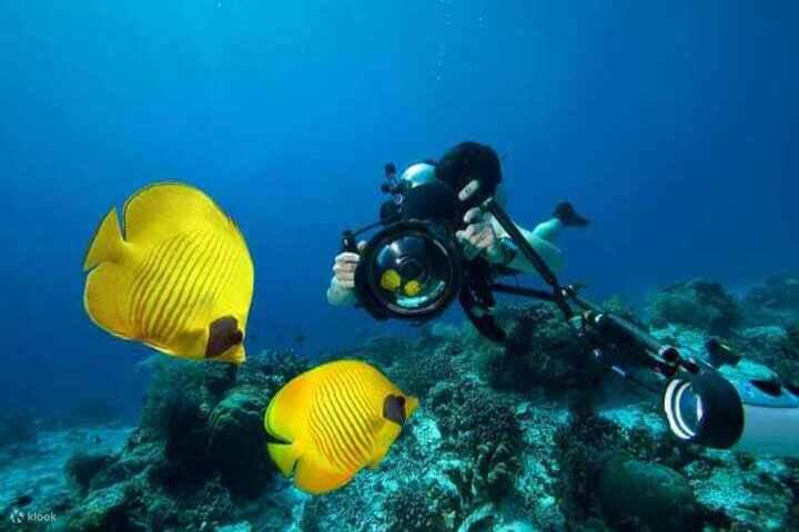 Tauchen-Sharm-El-Naga