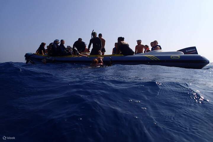 Bateau rapide_Marsa Alam_Dolphin House
