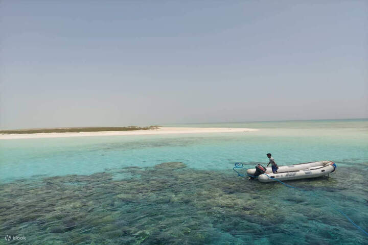 hamata_snorkeling_trip