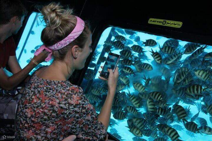 cosas-que-hacer-marsaalam-egipto