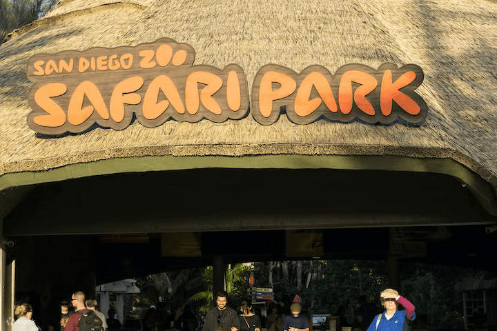 San Diego Zoo Safari Park Admission Ticket - Klook