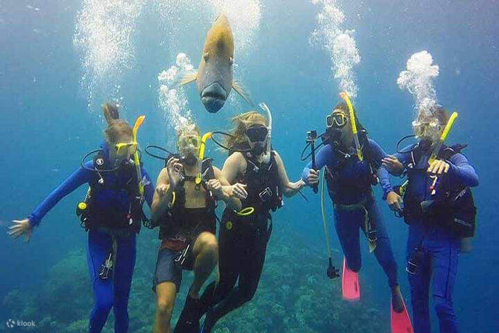 ดำน้ำลึกที่มาร์ซา อาลัม - ทะเลแดง