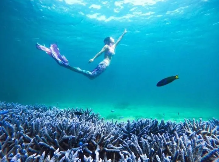 澎湖浮潜: 乐福海洋海底邮筒浮潜・SUP体验