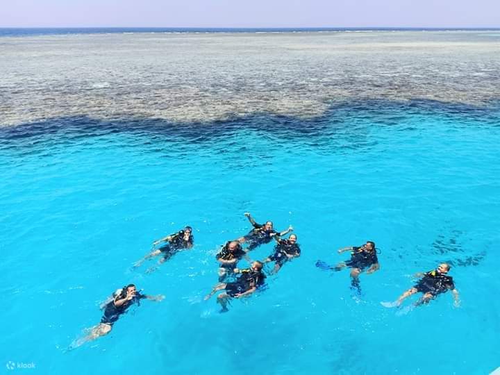 Snorkel di perairan yang jernih dan mendekati ikan lumba-lumba dalam habitat semula jadi mereka