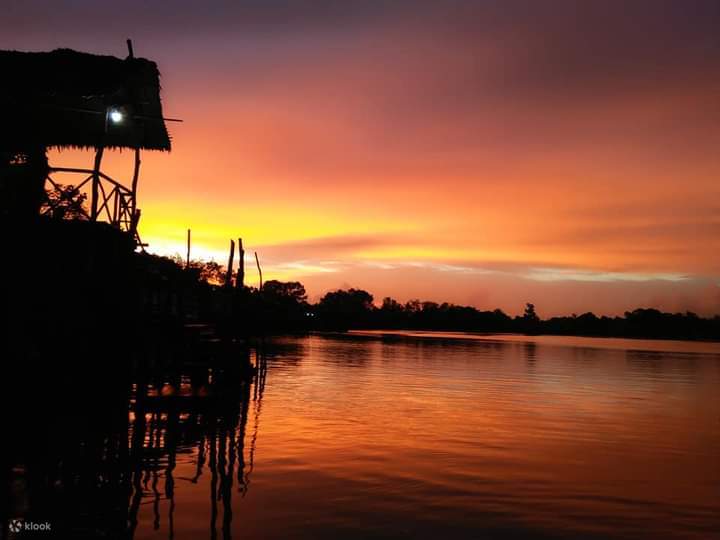 Turul cu licurici și râu de mangrove din Bintan - Klook România
