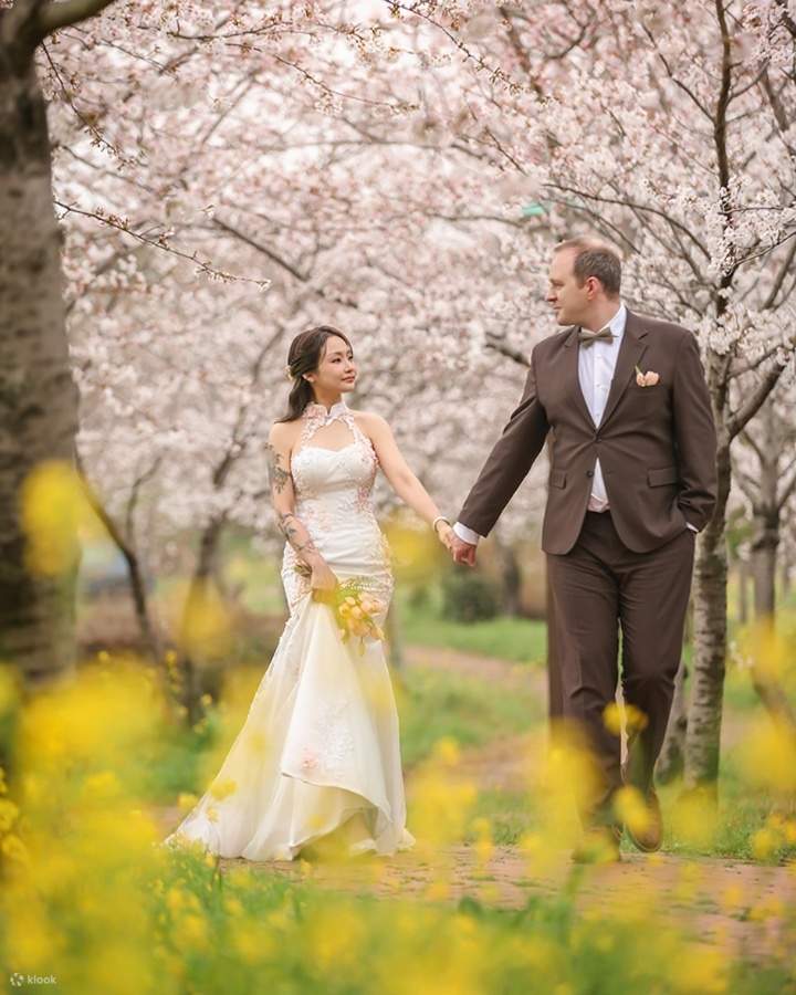 Dunia dongeng di bawah pokok bunga sakura