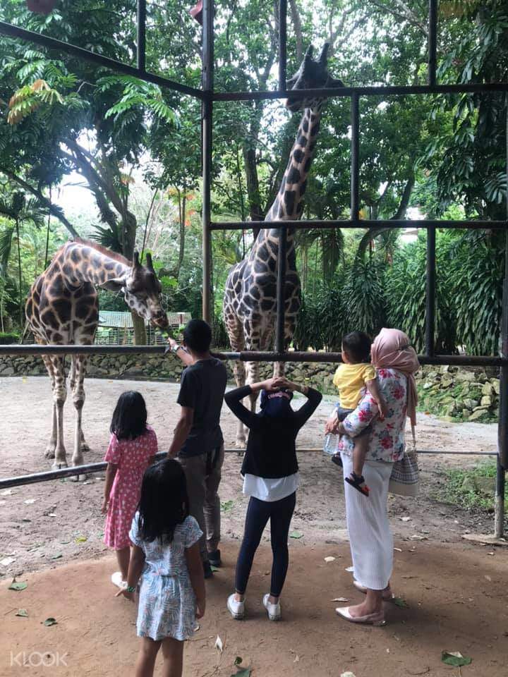 Melaka Zoo Admission Ticket In Melaka Malaysia Klook Malaysia