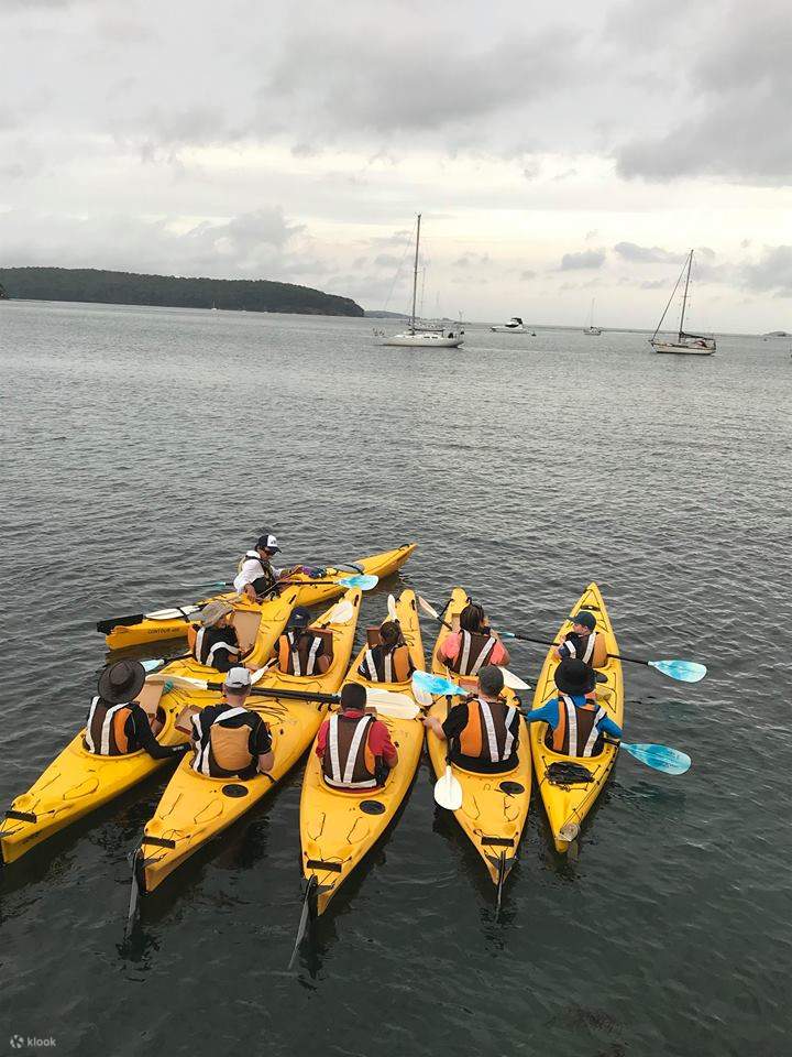 Clyde River Oyster Tasting and Kayaking Tour Klook Malaysia
