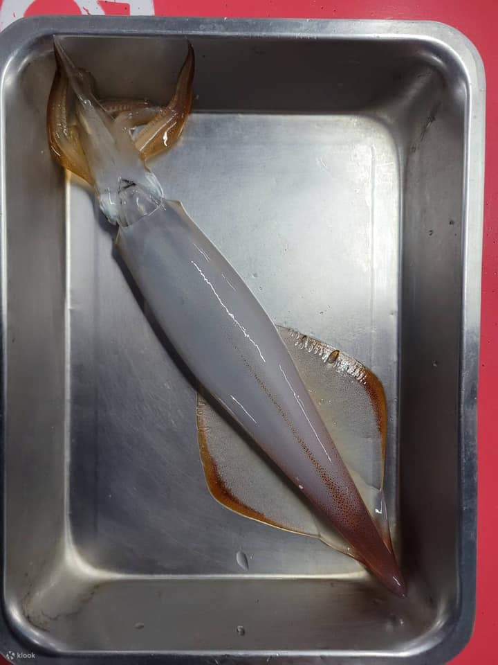 Palais Royal sur la mer - Pêche nocturne au calmar