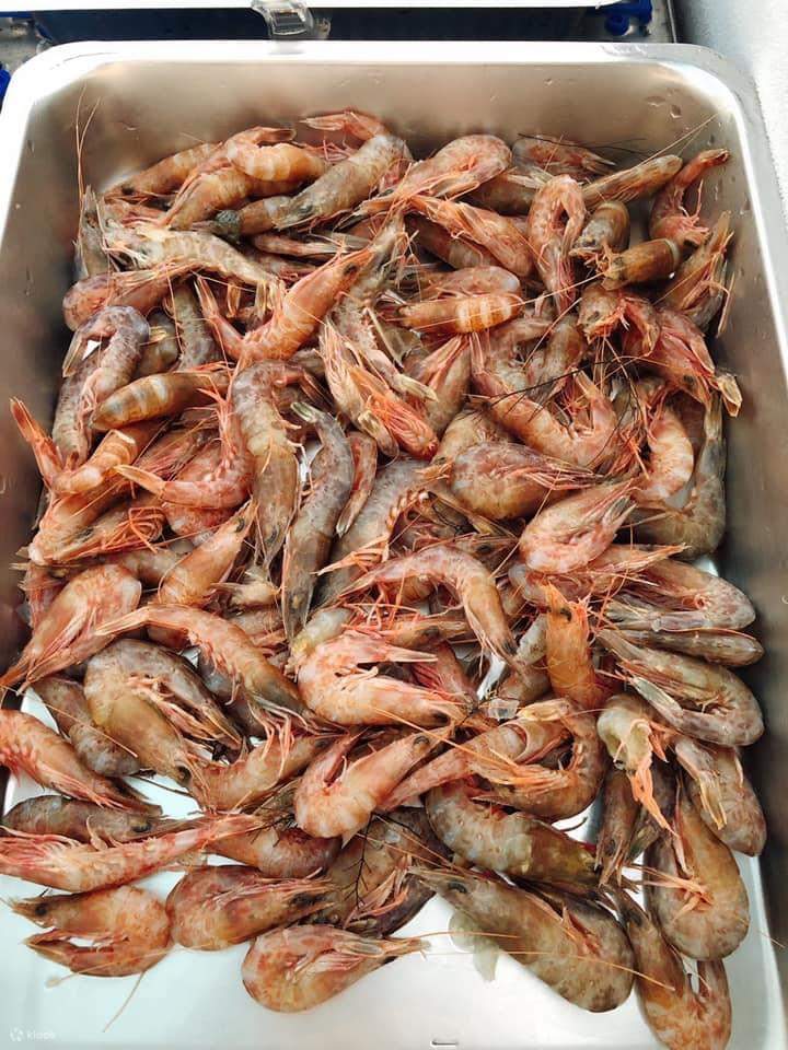 澎湖BBQ｜Klook独家｜澎湖百盛庭园无烟烧烤