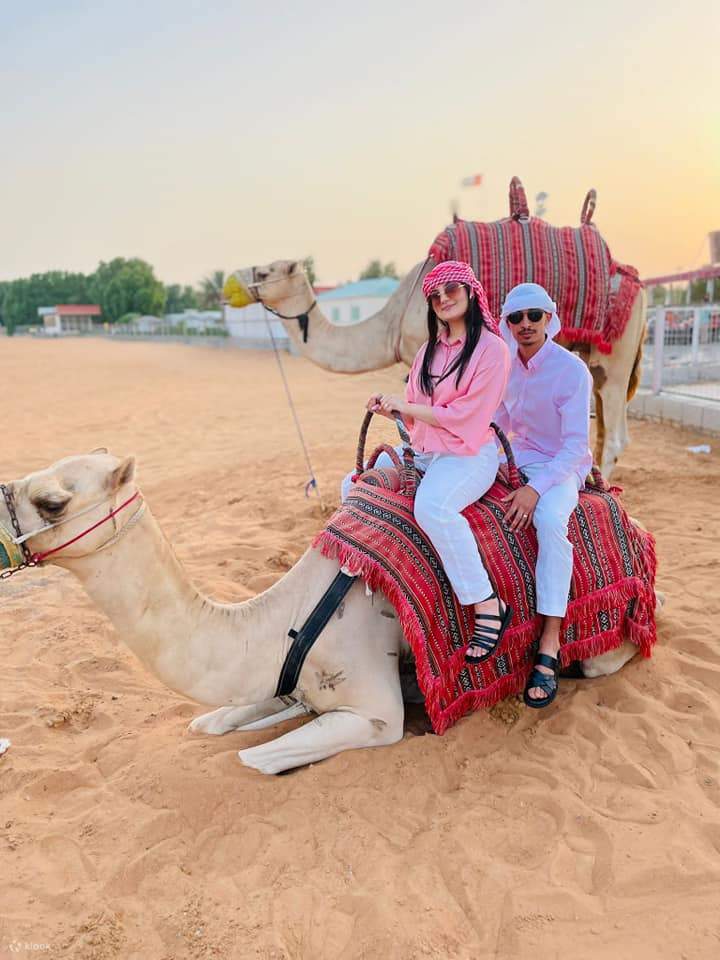 Enjoy an Dubai Evening Desert Safari with Dune Bashing and indulge in a delectable
