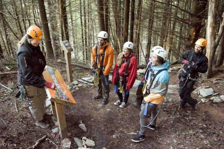 Ziptrek Ecotours Queenstown Group Eco Talk