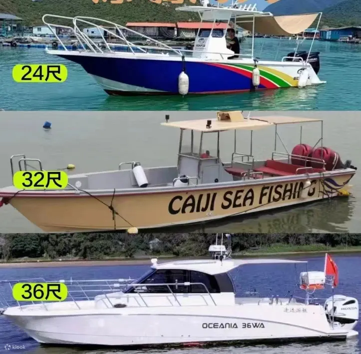 专业钓鱼艇：
限载5/8/10乘客，有洗手间，含鱼竿鱼饵，出海4小时