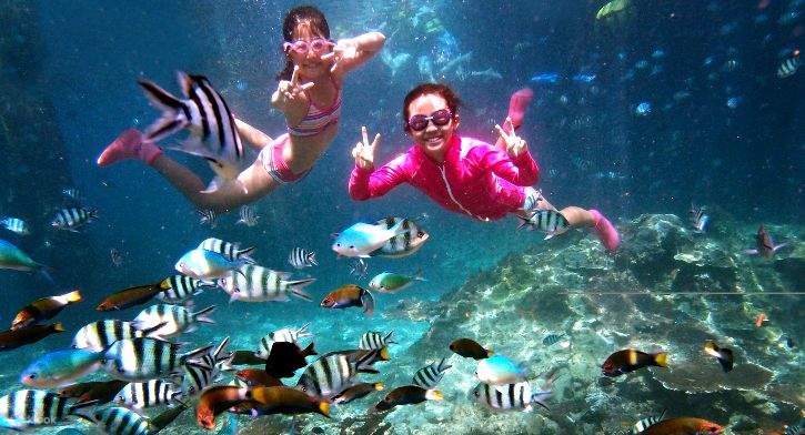 ラグーナ・レダン島 3D2N フルボード タートルシュノーケリング体験付き