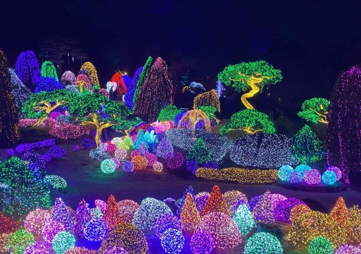 Starlight Festival of the Garden of Morning Calm Klook