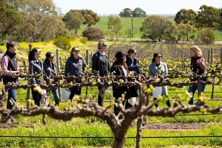 Vini straordinari e viste romantiche presso Pindarie Wines