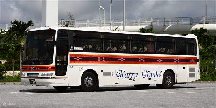 Vé Xe Buýt Đi Thủy Cung Churaumi Từ Sân Bay Naha (OKA) - Klook Việt Nam