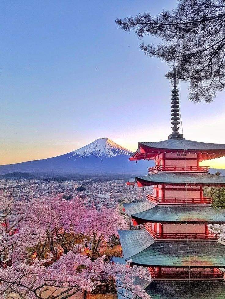 Lawatan Sehari ke Pemetikan Buah Yamanashi Gunung Fuji & Kereta Api ...